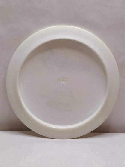 Innova Star Destroyer – Ricky Wysocki Signature, Valkoinen, 173–175 g, Kunto: A