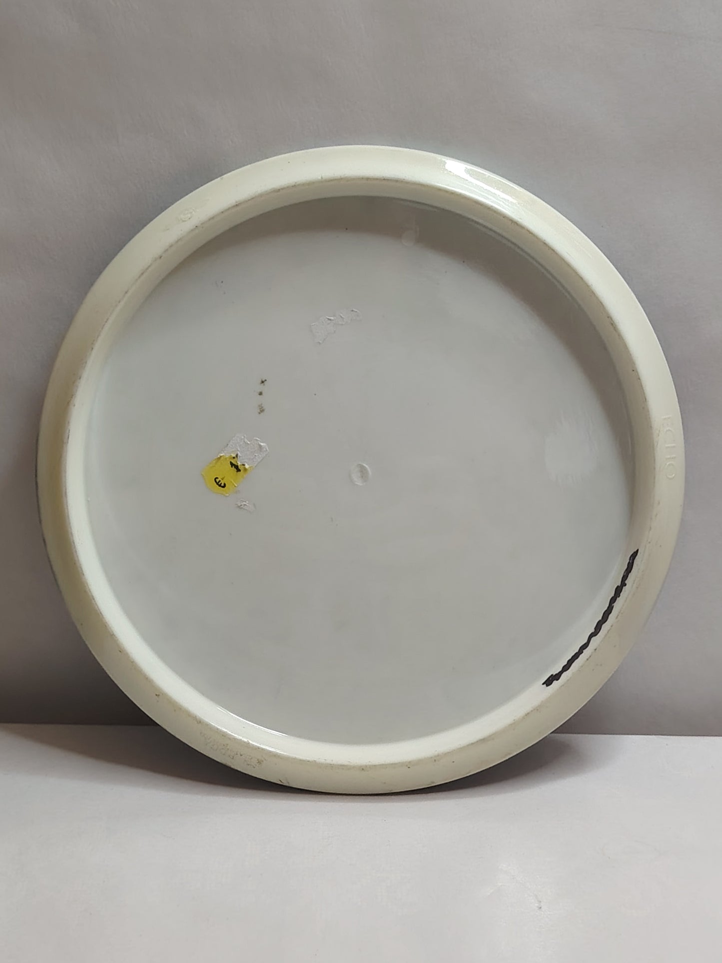Streamline Discs Neutron Echo Special Edition Dyed – noin 177 g, Kunto: A