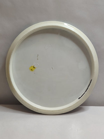 Streamline Discs Neutron Echo Special Edition Dyed – noin 177 g, Kunto: A