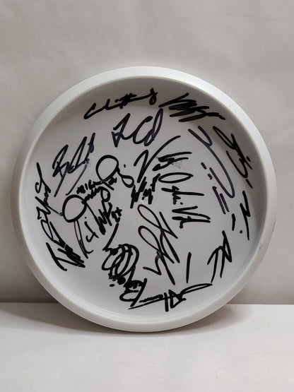 Discmania D-Line Flex 1 P2 – The Beast 2024 – Valkoinen/Harmaa, 173 g, Kunto: A